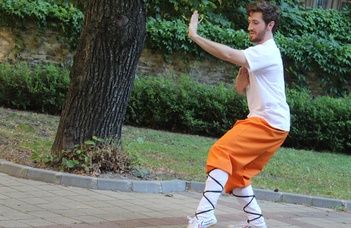 Kövér Kristóf taiji és kungfu oktató előadása.