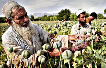Kábítószerek a modern Afganisztánban