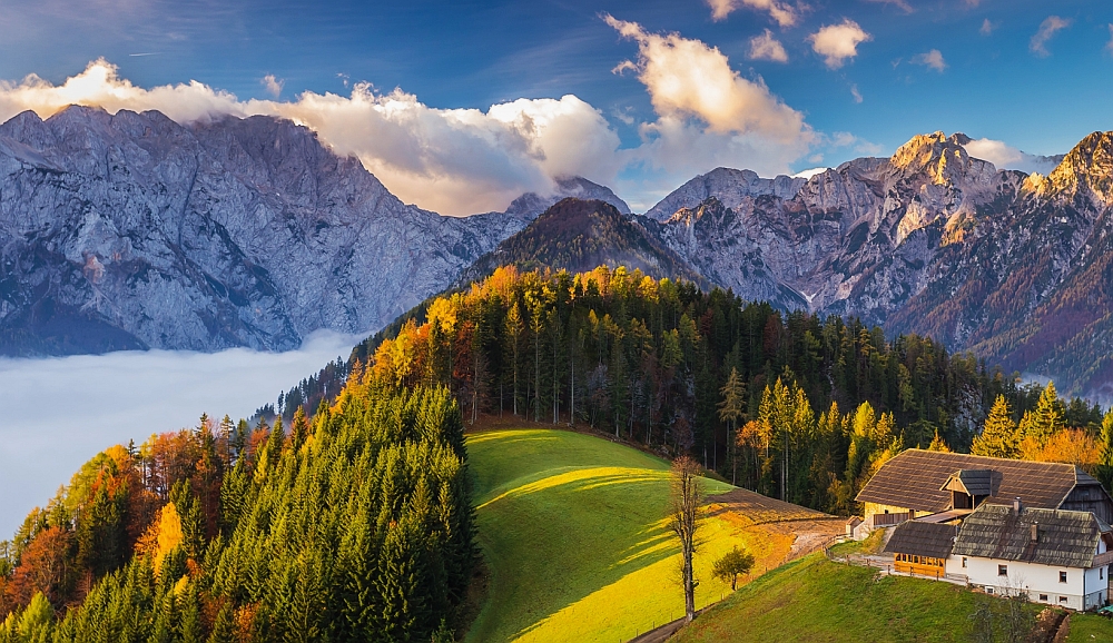 Szlovén nyelv és irodalom